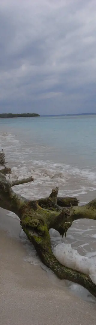 Bocas del Torro